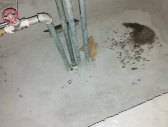 莆田卫生间测漏水价格明细